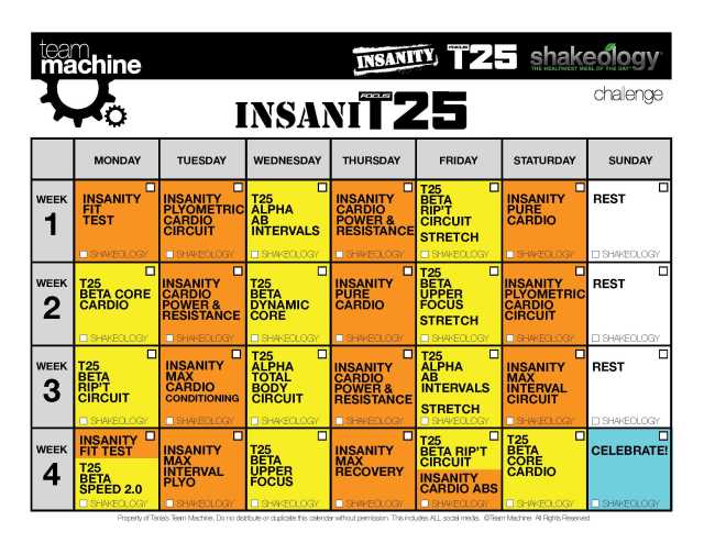 InsaniT25 Calendar